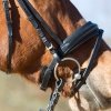 Ogłowie anatomiczne z nachrapnikiem angielskim kombinowanym SERAFINA - Kieffer